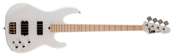 LTD Surveyor maple_ snw_600.jpg
