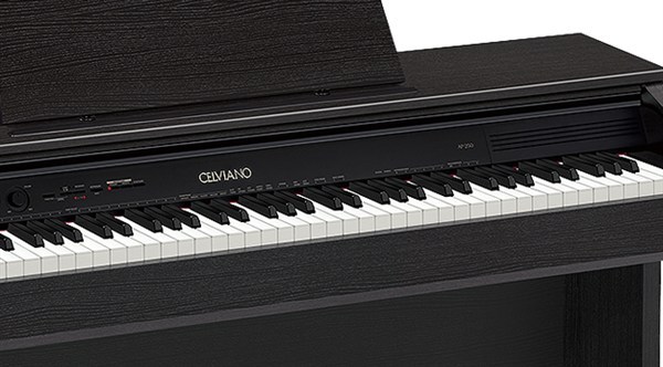 ap245bk_lb01.jpg