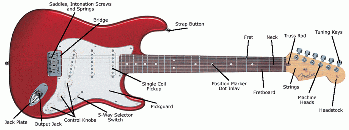 electric_anatomy_large_700.gif