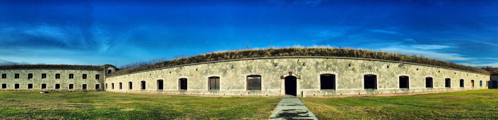 10317605_700.jpg