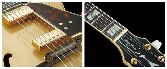 Ibanez Collage_700.jpg