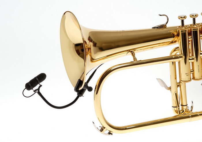 DPA dvote 4099 with Flugelhorn_700.jpg