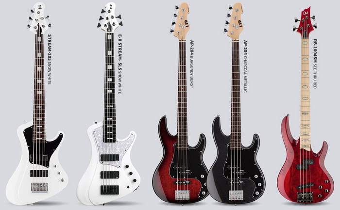 bass_2_700.jpg