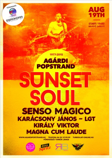 Popstrand flyer 2016.jpg