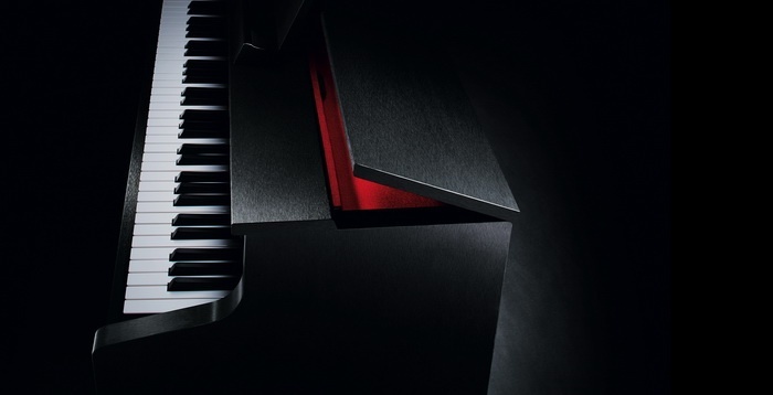 Casio-GP300_openlid_700.jpg