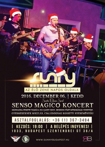 Sunny Flyer_350.jpg