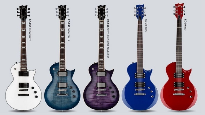 2017 LTD guit_700.jpg