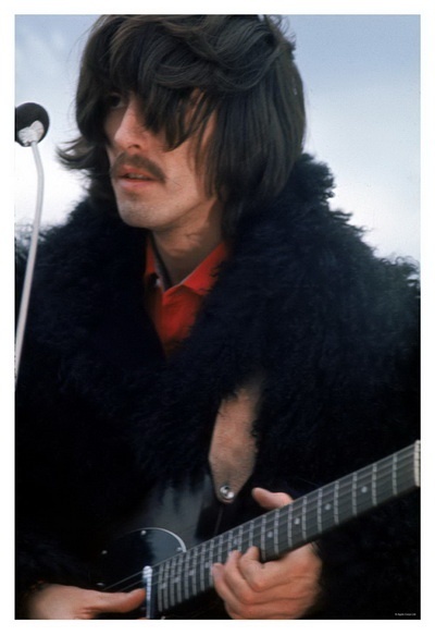 harrison 400x.jpg