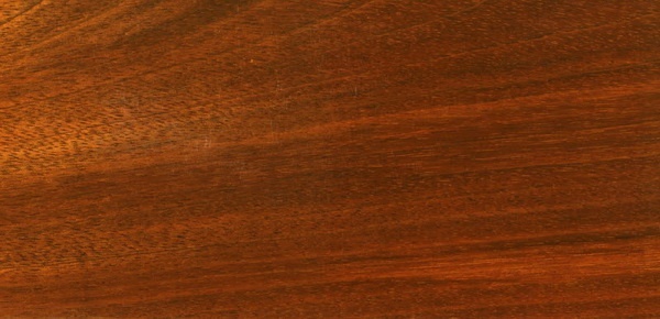 amifa_jatoba crop_600.jpg