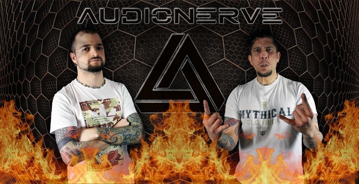 Audionerve_Promo_2017_700.jpg