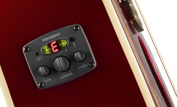 fishman elec_600x.jpg