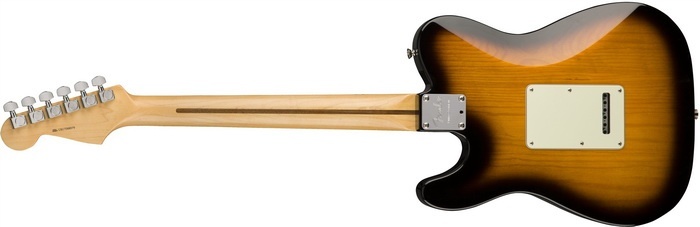 strat tele back 700x.jpg