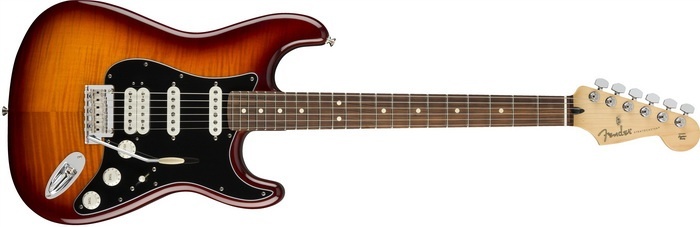 strat plus top pau_tobacco sunburst_700x.jpg