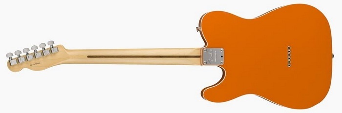 Fender 2018 Limited Edition Tele back 700x.jpg