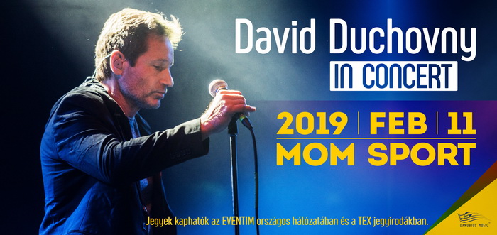 David Duchovny_700x.jpg