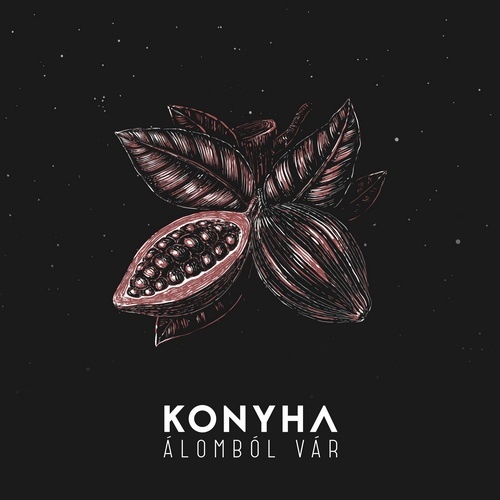 Konyha_Alombolvar_borit_500x.jpg