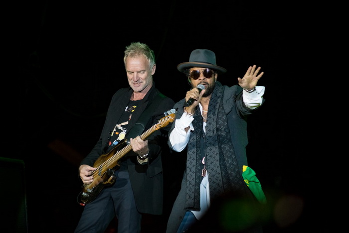 Sting 700x.jpg