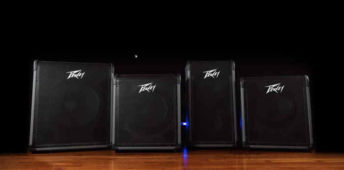 Peavey Max Bass Amp Series 700x.jpg