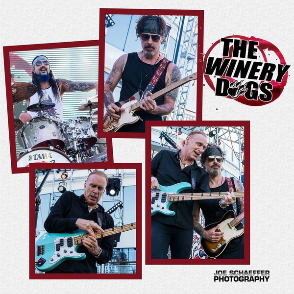 winery 600.jpg