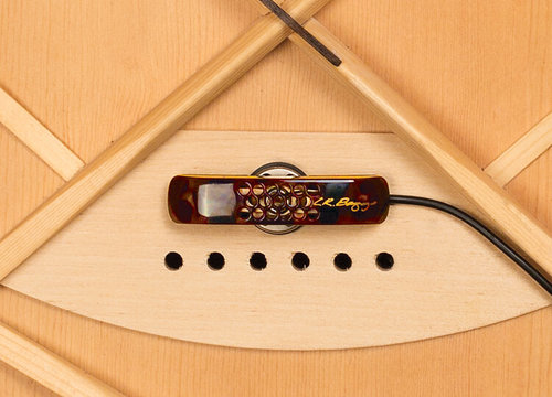 lr-baggs-lyric-acoustic-guitar-pickup-microphone-3.jpg
