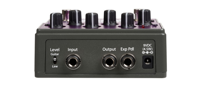 Eventide Rose Rear_700x.jpg