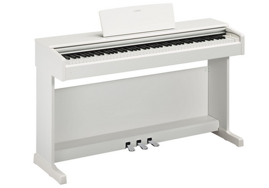 YDP 144 wh_550x.jpg