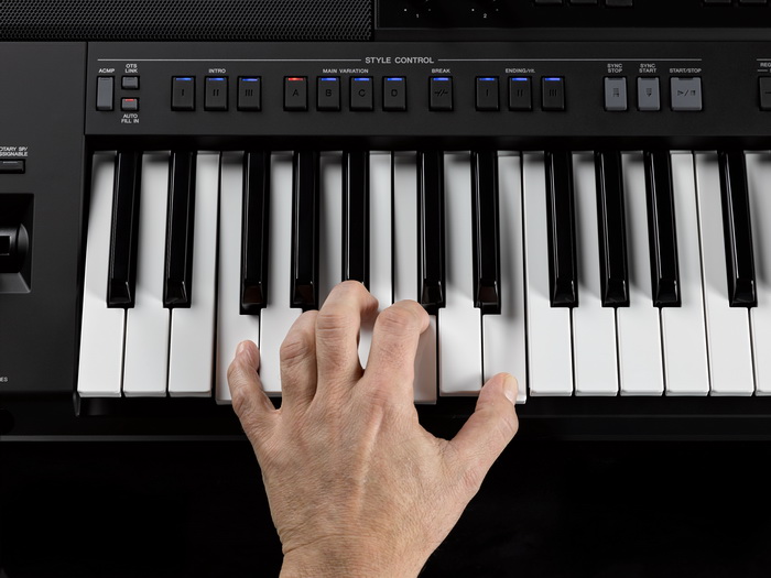 PSR-SX900_z_0003_style control_700.jpg