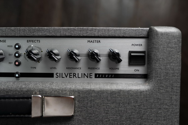 SILVERLINE-DELUXE-TOP-DOWN-LOGO 600x.jpg