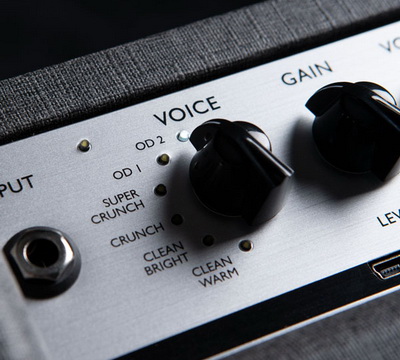 voice 400x360.jpg