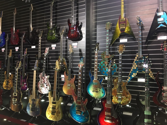 ESP Exhibition Series 700X.jpg