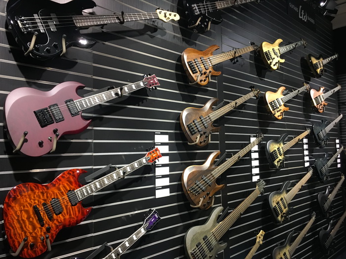 LTD Viper + Bass 700X.jpg