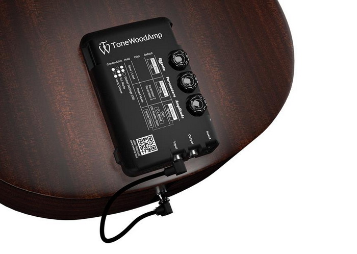Guitar_On_Wood 700x.jpg
