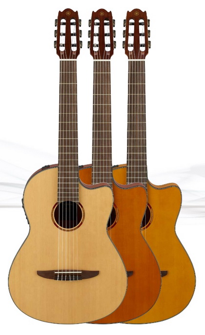 NCX-1 350x.jpg