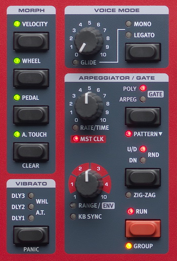 nw2-morph-arp-viib 350x.jpg