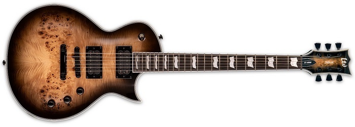 EC-1000 Black Natural Burst 700x.jpg