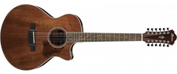 ibanez-ae2412-natural-high-gloss-front 700x.jpg
