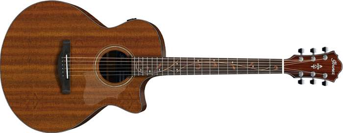 ibanez-ae295-lgs.jpg