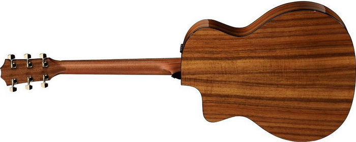 taylor-224ce-k-dlx-back 700.jpg