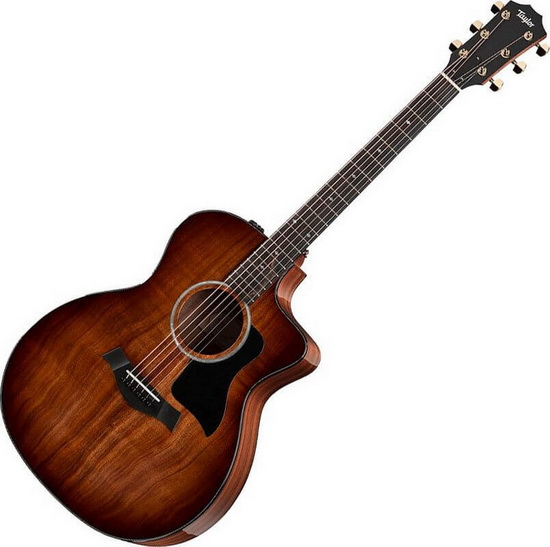 taylor-224ce-k-dlx 550 x.jpg