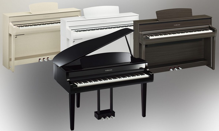 CLP-700_1 700x.jpg