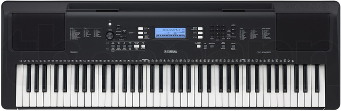 ew310_1 700x.jpg