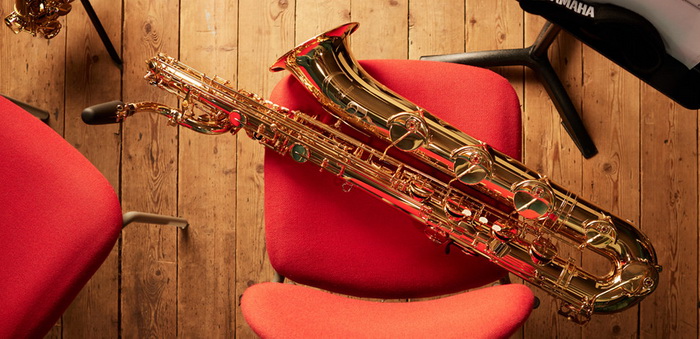Yanaha baritorne custom 700.jpg