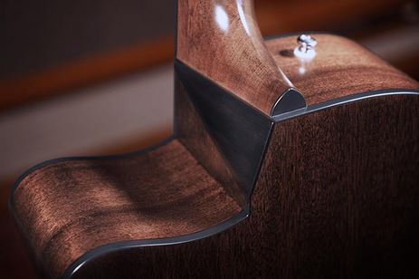 Advanced Acoustic cutaway.jpg