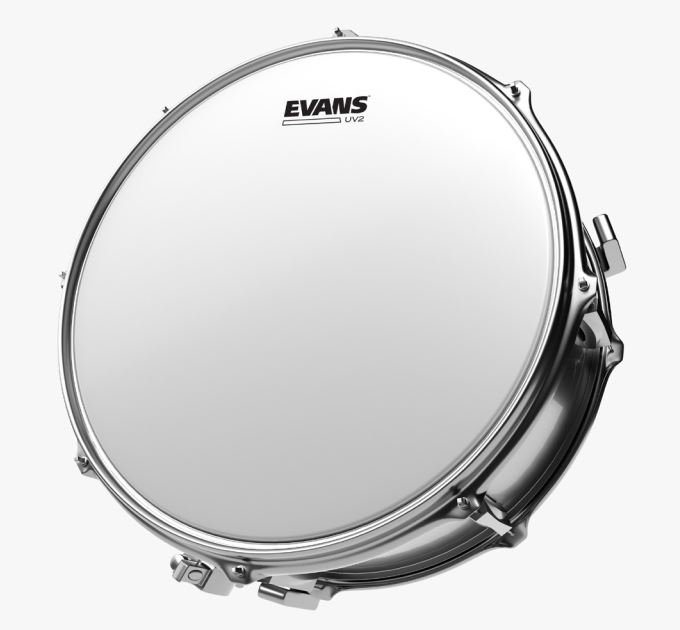 EVANS UV2 DRUMHEADS Forint fact sheet