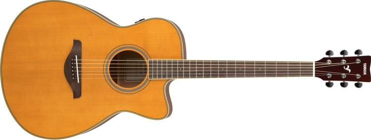FSC TA NT f 0001 750x