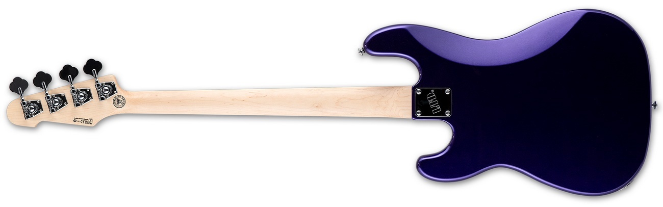 SURVEYOR 87 rear 1300x