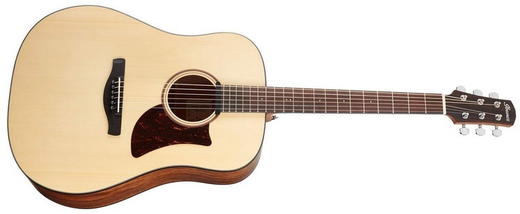 ibanez aad100e opn angle 750X