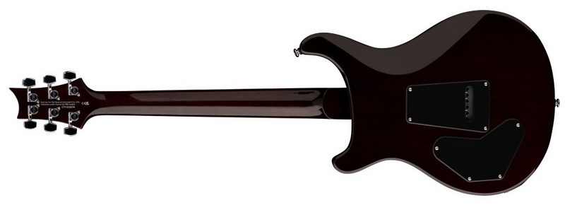 DGT back 800x