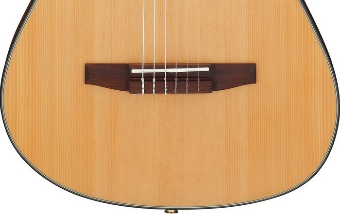 FRH10N NTF 4 bridge