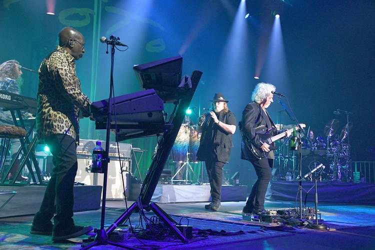 toto010 750x